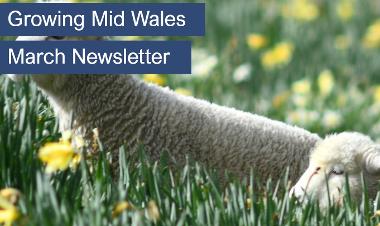 Growing Mid Wales Newsletter March 2024 Cover