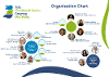 GMW Organisation Chart July 2025