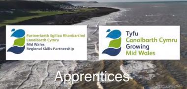 Being an apprentice in Mid Wales